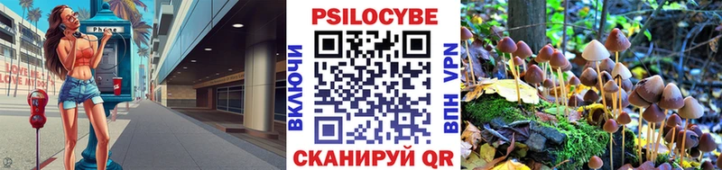 что такое наркотик  Дмитриев  Галлюциногенные грибы MAGIC MUSHROOMS 